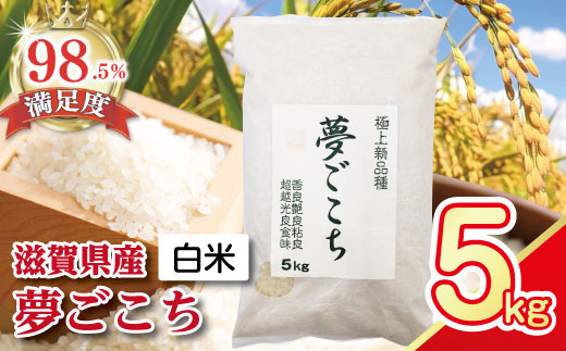 【6年産】近江米夢ごこち【5kg×1袋】【T034U1】