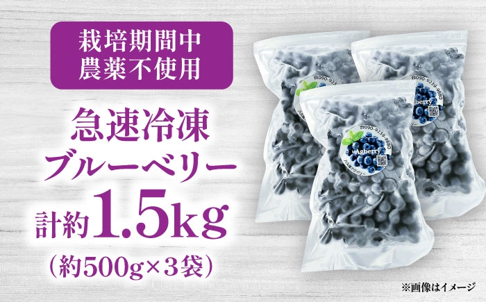 国産 急速冷凍ブルーベリー 1.5kg ブルーベリー 冷凍 ぶるーべりー