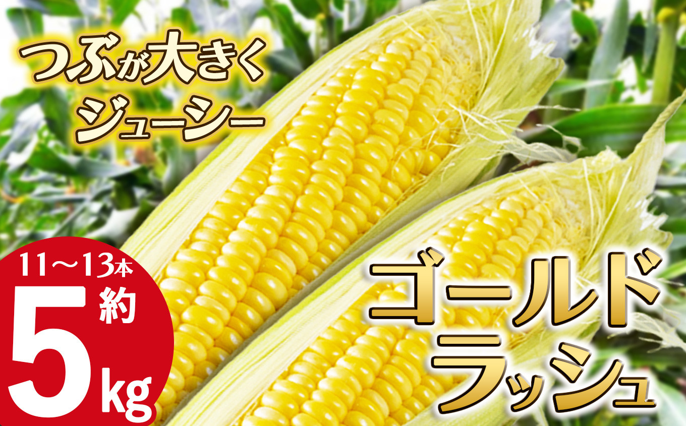 
            【先行予約】【6月下旬から順次発送】下野市産とうもろこし「ゴールドラッシュ」 約5kg(11～13本) |  旬 野菜 送料無料 栃木県 下野市 特産
          
