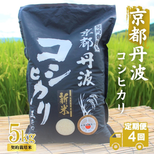コシヒカリ 定期便4回 5kg 米 お米 コシヒカリ