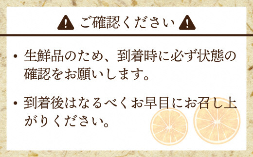 【2025年9月中旬より順次発送】JAむなかたブランドみかん【姫の神】（早味かん）約3kg[F2280a]