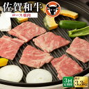 【ふるさと納税】【3回定期便】佐賀和牛 ロース焼肉 1.1kg 佐賀県産 黒毛和牛 牛肉 牛 佐賀県嬉野市/一ノ瀬畜産 [NAC134]