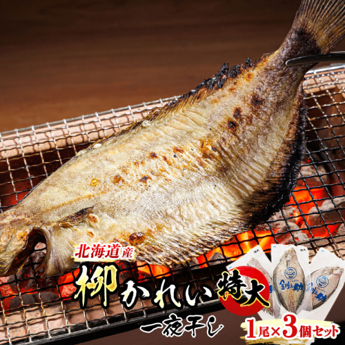 北海道産 特大 柳かれい 一夜干し 1尾×3個セット | 焼魚 焼き魚 セット ひもの 冷凍 魚介類 海鮮 絶品 人気 笹谷商店 直営 釧之助本店 高級 北海道 釧路町 釧路超 特産品