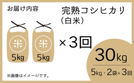 【先行予約】【令和7年産　新米】【3ヶ月定期便】くらもち完熟米 コシヒカリ 白米10kg（5kg×2袋）×3回　計30kg【2025年10月より順次発送】ふるさと納税 定期便 毎月 届く 小分け 米 