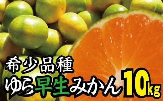 由良早生 みかん 家庭用 10kg / ゆら早生 温州みかん 極早生 甘い 家庭用 和歌山 柑橘 ※10月上旬～10月下旬順次発送 ※北海道・沖縄・離島への配送不可 【nuk003-yura-10B】