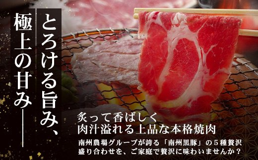 かごしま黒豚５種 贅沢盛り合わせ ( 約1kg ) NS-34 | 豚肉 ぶた セット ５種 冷凍 詰め合わせ 肩ロース ロース バラ もも ももスライス 赤身 脂身 薄切り 部位 焼肉 しゃぶしゃぶ