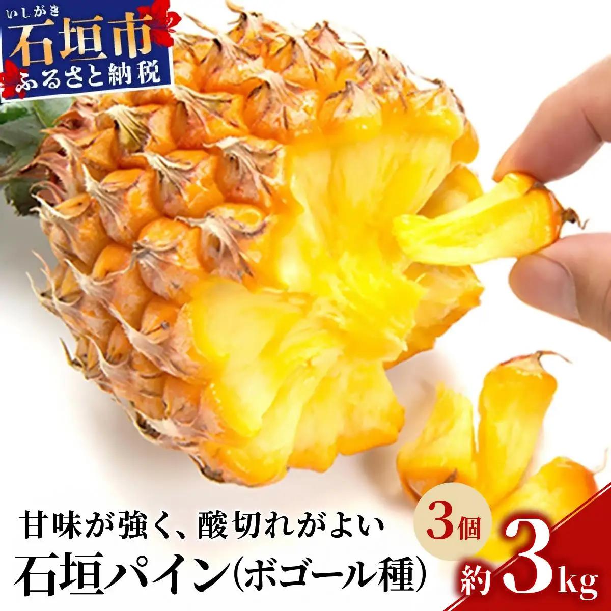 石垣パイン 3個セット ボゴール種 ＜2027年4月初旬～5月中旬発送予定＞
