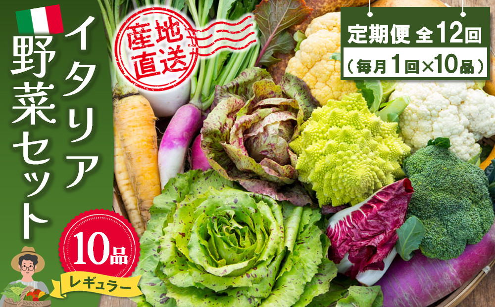 
年間定期便12回 イタリア野菜セットレギュラー 10品 【有機野菜 おまかせ野菜セット イタリア野菜 西洋野菜 定期便】(H078149)
