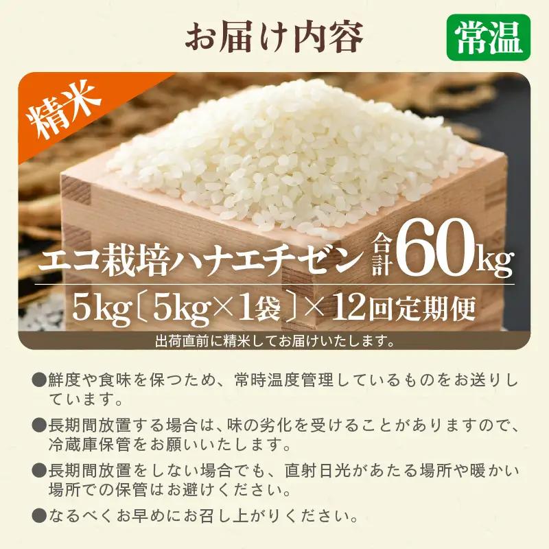 【先行予約】【令和8年産 新米】エコ栽培ハナエチゼン  白米5kg×12回 計60kg ／ 鮮度抜群 福井県産 はなえちぜん ご飯 新鮮 白米 ※2026年9月上旬以降順次発送予定 [aw063-k0