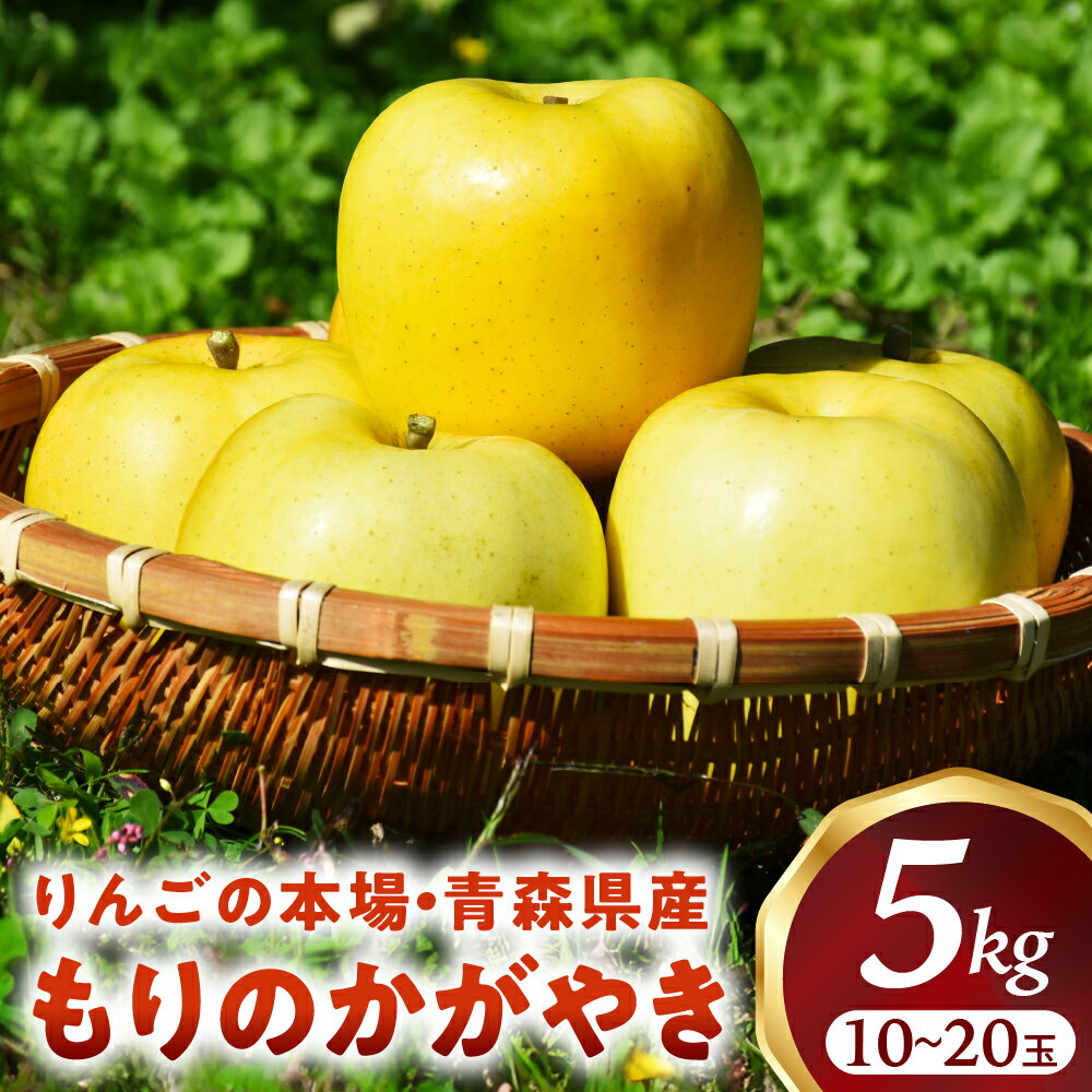 【ふるさと納税】希少！青森りんご【もりのかがやき】約5kg（10～20玉）【2025年産・先行予約】★2025年10月上旬～10月下旬頃まで発送予定★りんご 林檎 フルーツ 果物 果実 青森 青森県 青森県産 三戸 三戸町 ギフト プレゼント 産地直送 農家直送 送料無料
