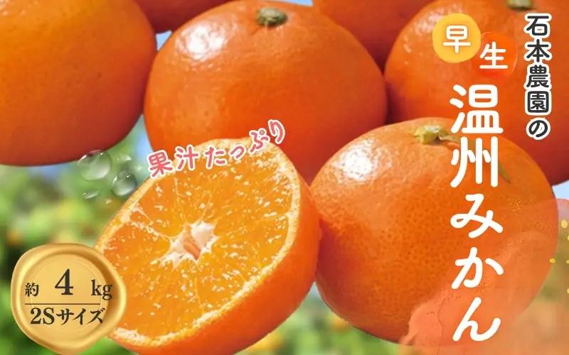 2Sサイズ 石本農園の早生温州みかん約4kg【mis003B】
