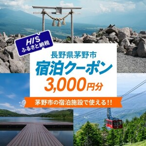 HISふるさと納税宿泊予約専用クーポン(長野県茅野市)3,000円分【1698041】