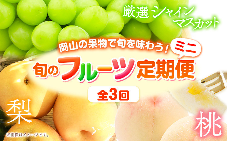 
            230.【先行予約】旬の フルーツ 定期便 ミニ 全3回 桃 約1kg(3～5玉前後) シャインマスカット 1房 (約650g) 旬の梨 約1.8kg (3～8玉前後) 《7月上旬～1月末頃出荷》フルーツ 果物 ご家庭用 定期便 お取り寄せ デザート 送料無料
          