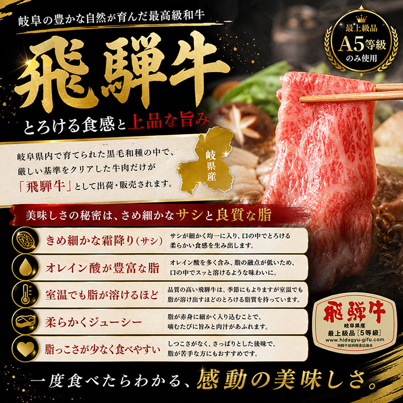 飛騨牛 牛肉 切り落とし 500g×4 計2kg 和牛