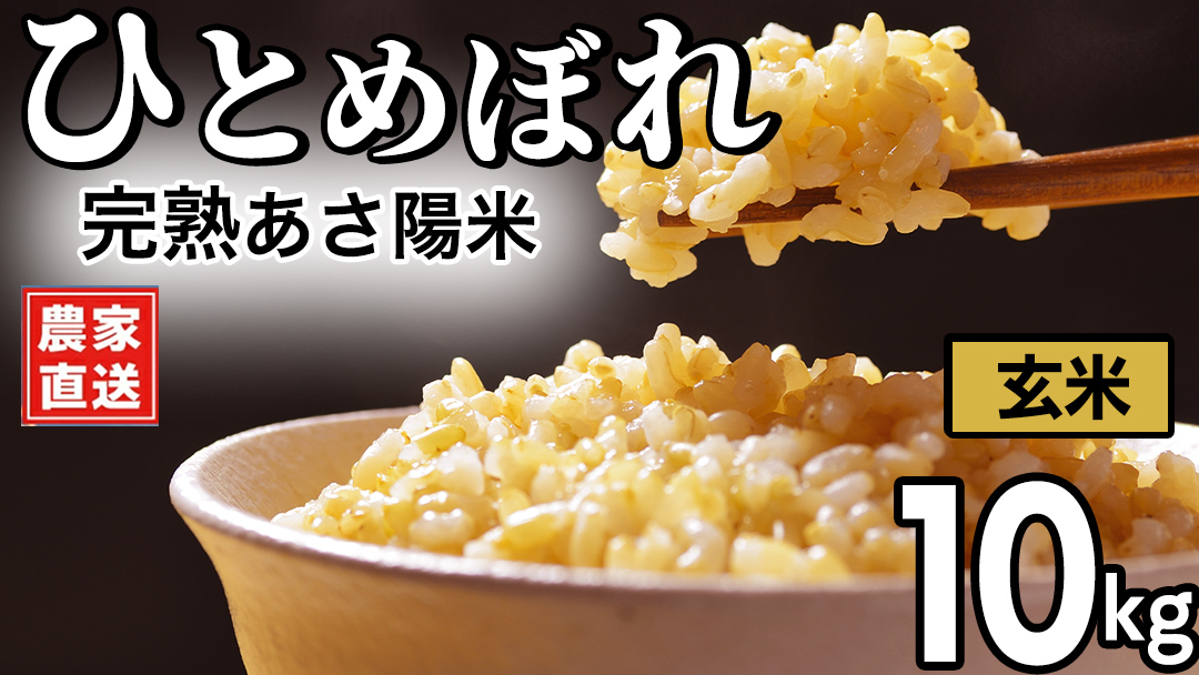 【 新米 】 完熟あさ陽米 (玄米) 10kg (5kg×2) ひとめぼれ 特別栽培米 令和8年産 生産農家直送 米 産地直送 こめ 玄米 ご飯 あさ陽米 岩手県 特別栽培 農家直送 事業者応援 生産