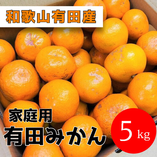 家庭用 有田みかん 5kg (約46個～51個)