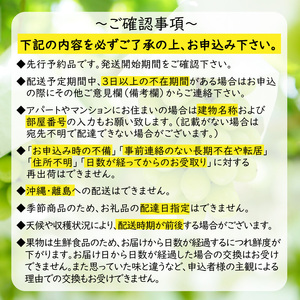 ＜みよばあちゃんのぶどう畑直送！＞ 先行予約 8月中旬～9月中旬順次発送【露地栽培のシャインマスカット1房 約500g】[M29-2] 葡萄 ブドウ ぶどう 巨峰 果物 くだもの マスカット フルーツ