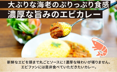 《無地熨斗》 コーノスパイス エビカレー 200g×5パック スパイスカレー カレー 海老 エビ えび 小麦粉不使用 グルテンフリー カレーライス 冷凍 CONO SPICE コーノコーラ 送料無料 