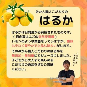 無添加 はるか ジュース 720ml 3本 ストレート 果汁 100% 柑橘 果物 国産 フルーツ 蜜柑 みかん ビタミン 美味しい みかん職人武田屋 愛媛県 愛南町