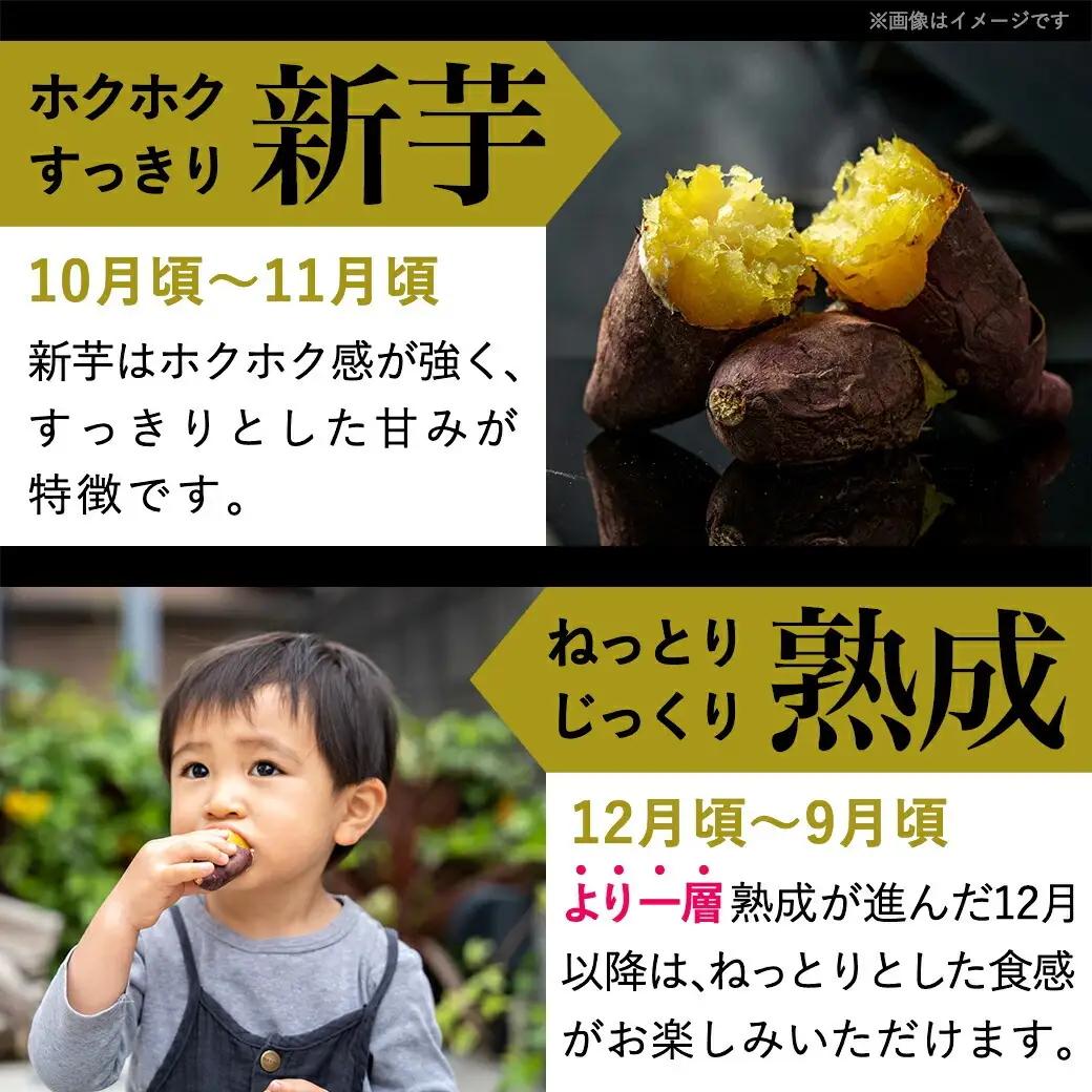 島津甘藷　熟成紅はるか 2kg(M～S)_LB-A7-001-2kg_(都城市) さつまいも 幻のサツマイモ 幻の品種 紅はるか 2kg M～S べにはるか 生芋 ベジエイト 熟成 芋 定番 焼き芋 