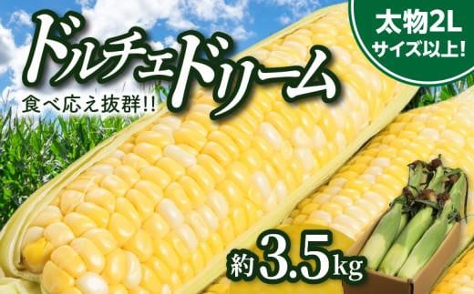 ＼寄附額改定／食べ応え抜群 太物2Lサイズ以上!ドルチェドリーム 約3.5kg【2025-6月上旬～2025-7月上旬配送】