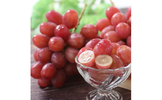 【産地厳選!】長野県産・クイーンルージュ（約1kg）秀品 2026年10月中旬より発送 信州 南信州 高森町 産地直送 果物 くだもの ぶどう 旬のぶどう 山下屋荘介