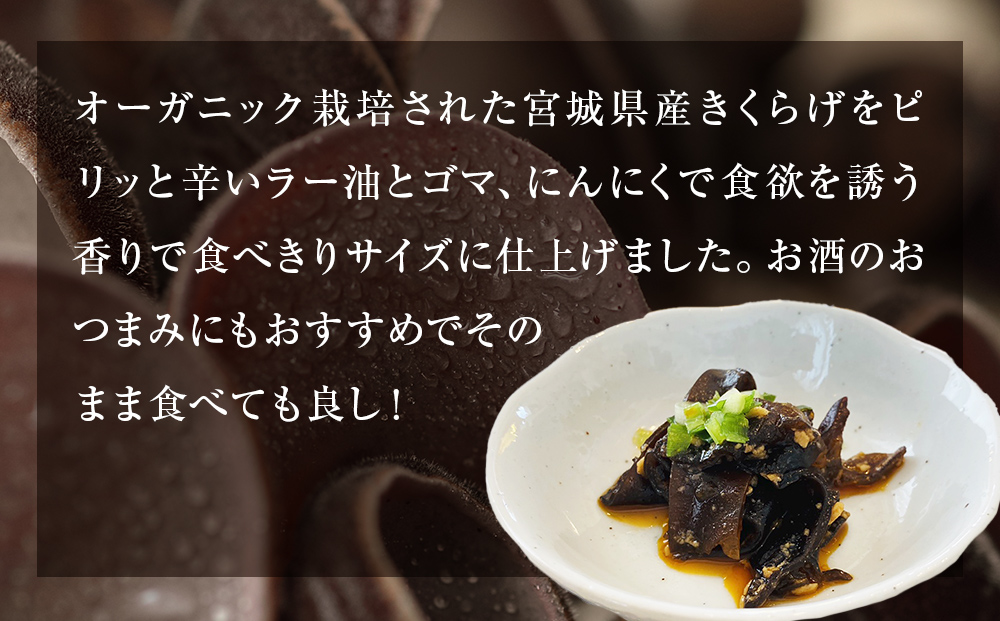 名取市産 きくらげ の トマンネーゼ きくらー油 90g×10袋セット