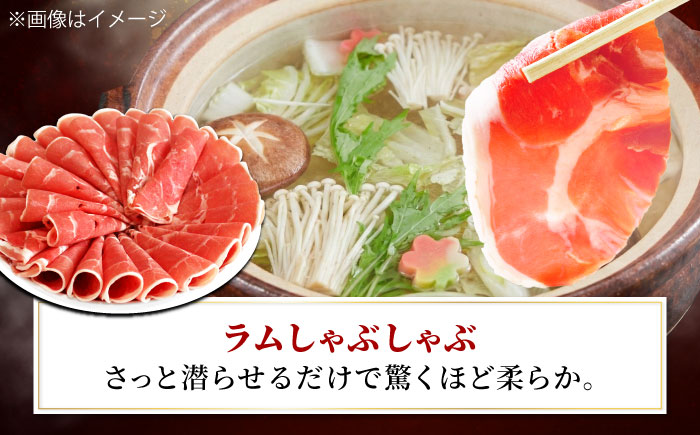 【3回定期便/隔月】ラム肉 3種 計2.6kg  | ラム ラム肉 羊肉 仔羊 北海道 | ストレイシープ [BOAP021]