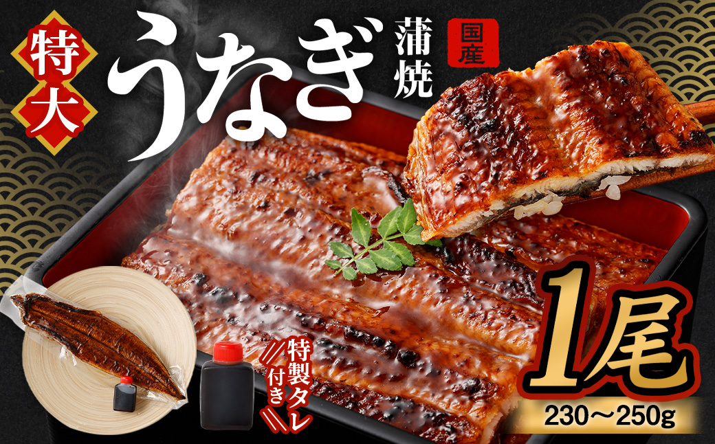 【土用の丑の日に間に合う!】国産 特大 うなぎ 蒲焼 1尾(230~250g)と特製タレ1個セット