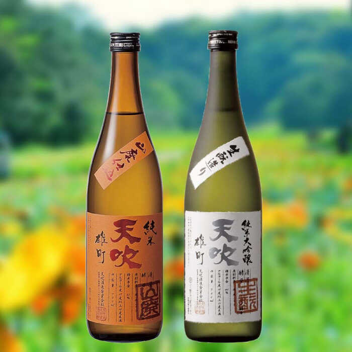【ふるさと納税】天吹 生酛・山廃造りセット 各720ml×1本 / 日本酒 お酒 銘酒 地酒 / 佐賀県 / 天吹酒造合資会社 [41ANCX012]