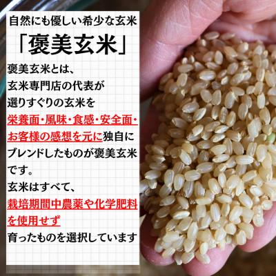 ふるさと納税 豊能町 【白米に混ぜて簡単!】国産 五穀米ブレンド600g(300g×2袋入り) |  | 01