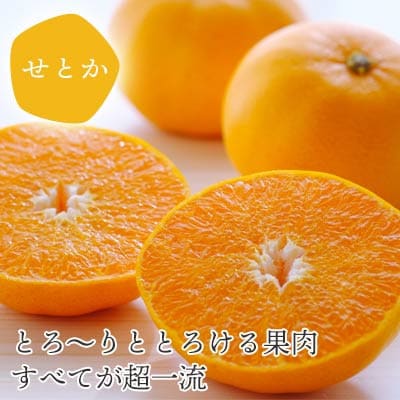 【発送月固定定期便】愛媛の人気2品種を堪能!せとか・甘平 食べ比べ【訳あり】【F25−201】全2回【4066441】