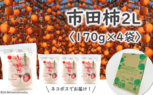 
                  JA38 市田柿 （大粒2Lサイズ） 約170g × 4袋 / 2027年1月中旬〜2月上旬頃 配送予定 // 長野県 南信州 干し柿 干柿 大粒 2Lサイズ ドライフルーツ 贈答 高糖度 高品質
                