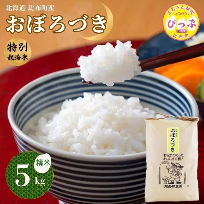 令和7年産 特別栽培米 おぼろづき 精米 5kg【西間農園】米 お米 北海道産 北海道米 国産 白米 コメ JGAP認証農場 北海道 比布町 ぴっぷ 1005-001