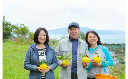 環境マイスターのレモン 2kg（無肥料／栽培期間中農薬を減らして栽培）【2025年11月上旬～2026年4月下旬発送予定】レモン 檸檬 れもん 果物 くだもの フルーツ ビタミン 酸味 果汁 果実 柑