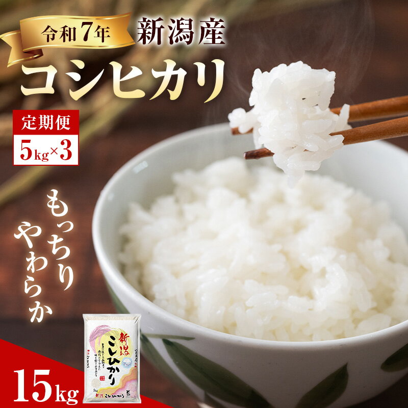 【ふるさと納税】R7年産米【定期便】新潟産コシヒカリ5kg×3回　お届け：2025年10月中旬以降発送予定
