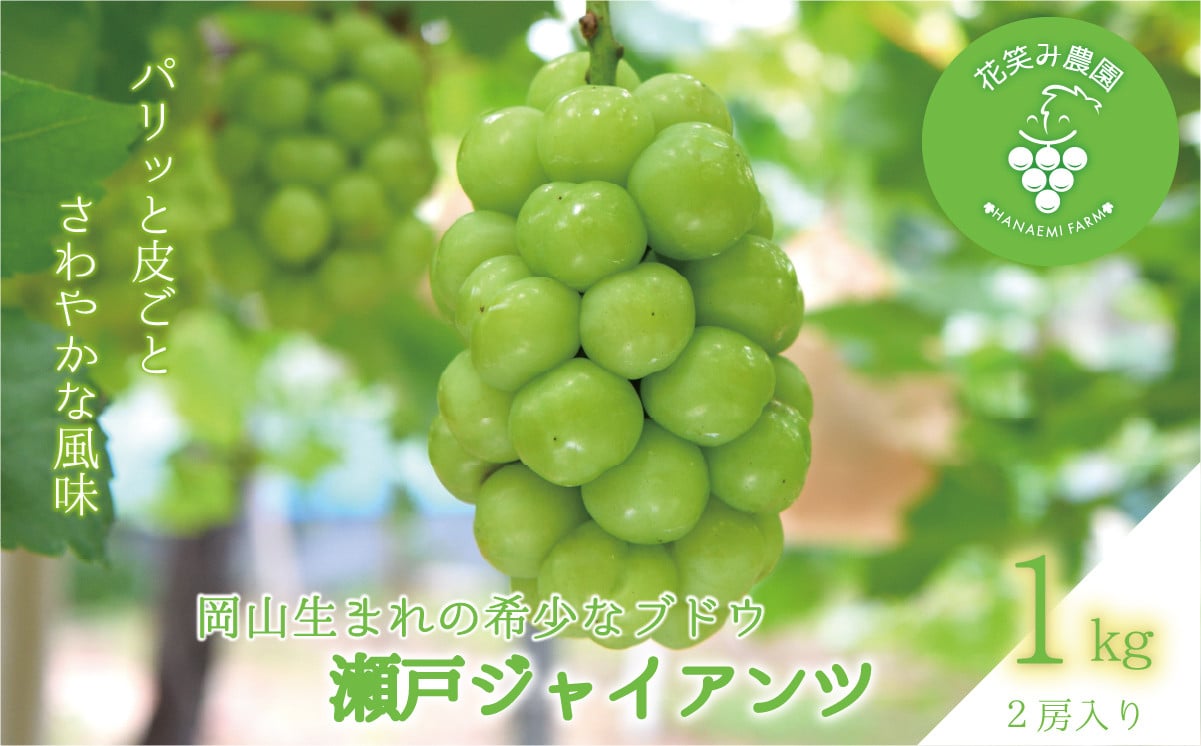 
            hana40.岡山　花笑み農園の『瀬戸ジャイアンツ』１ｋg（２房）
          