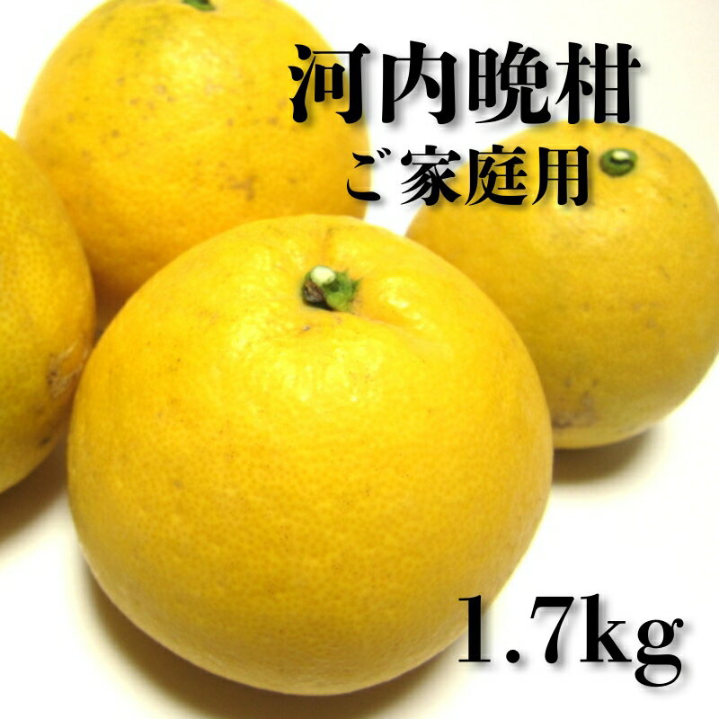 【ふるさと納税】 【和製グレープフルーツ】有田育ちの河内晩柑(ご家庭用) 1.7kg ※2025年4月中旬～6月下旬に順次発送予定