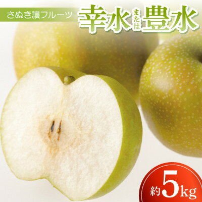 【ふるさと納税】さぬき讃フルーツ「幸水または豊水」約5kg【令和7年8月発送】【配送不可地域：離島】【1609818】