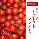 【ふるさと納税】【3kg】ミニトマト 糖度8以上 アマメイド 　リピーター続出の人気野菜【1502595】