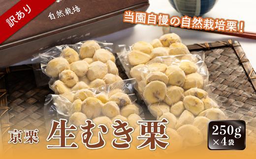 《11月中旬以降発送》【訳あり】京栗 生むき栗 冷凍 1kg（250g×4袋） 京都 綾部 丹波栗 自然栽培 京都府産 農家直送 国産 わけあり 訳アリ 無農薬 果物 フルーツ くり 栗