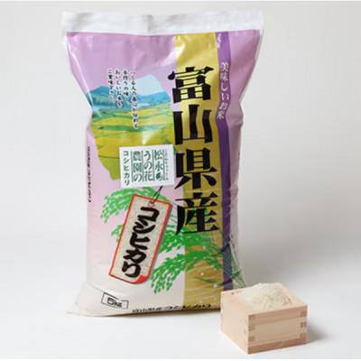 ふるさと納税 小矢部市 【2ヵ月毎定期便】松永うの花農園産コシヒカリ5kg全6回 |  | 01