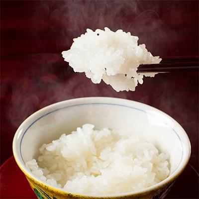 ふるさと納税 南魚沼市 【令和6年産】南魚沼産コシヒカリ(玄米)【5kg×2袋】 |  | 01