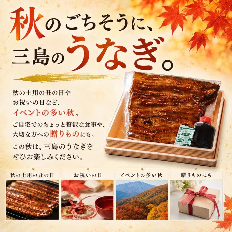 【秋うなぎ】 国産 うなぎの蒲焼き 3尾 すみの坊
