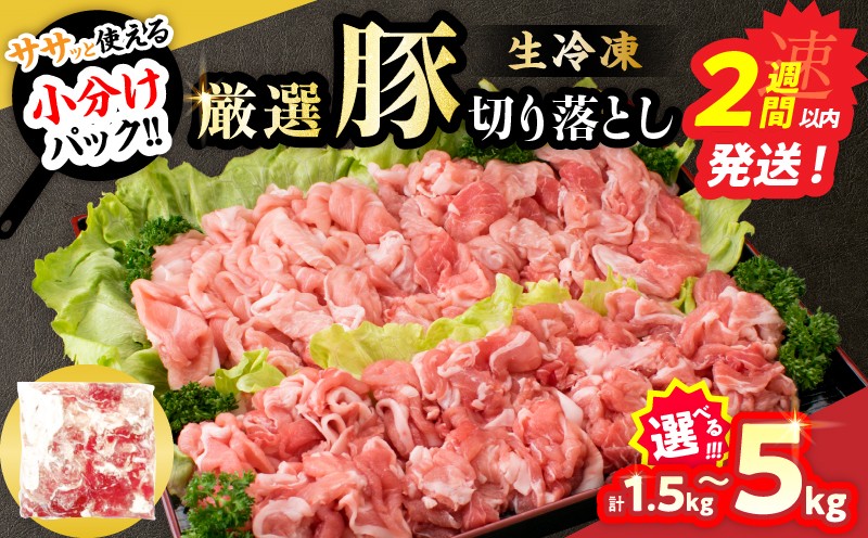 厳選豚切り落とし 日南市産豚肉 計3kg