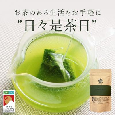 ふるさと納税 錦江町 緑茶ティーバッグ【ノウフクJAS認証茶】(4g×10p) No.054-2