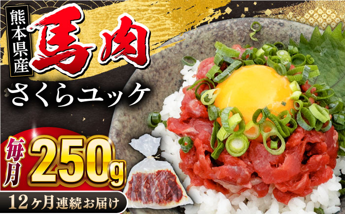 【全12回定期便】 馬肉さくらユッケ 250g ( 50g × 5 ) 【五右衛門フーズ】 [YBZ034]