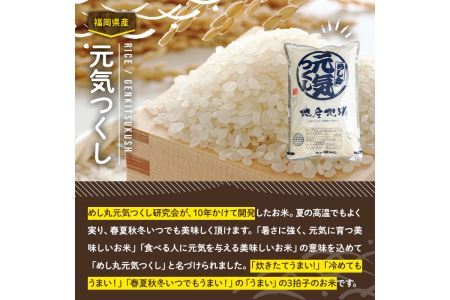 果物屋さんが選んだ米「元気つくし」(5kg×2袋・計10kg)お米 白米 10キロ ごはん ご飯 常温 常温保存【ksg0167】【南国フルーツ】