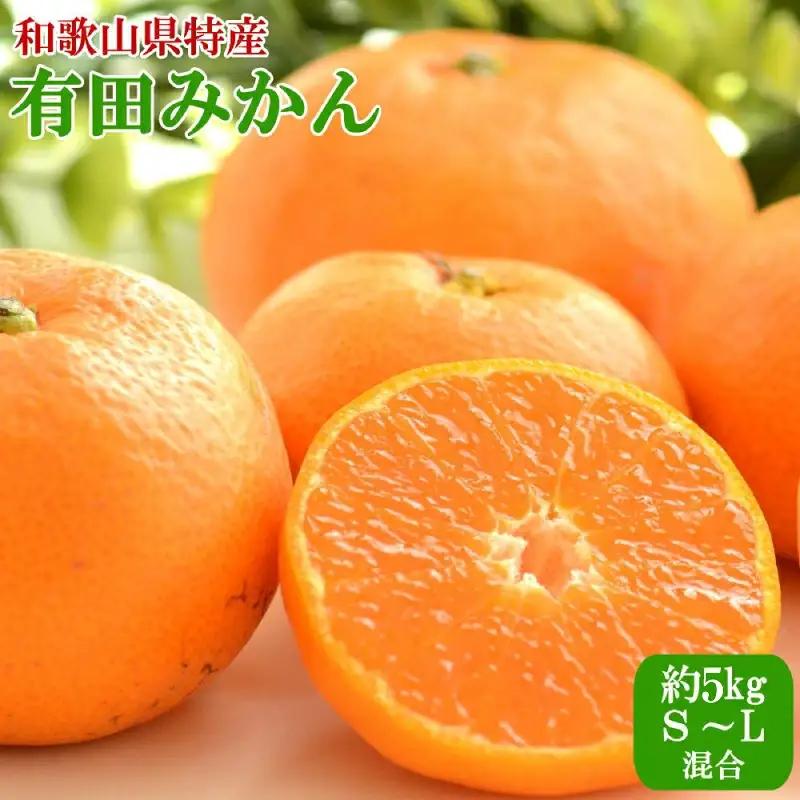 [秀品]和歌山有田みかん約5kg（S～Lサイズ混合）【TM95】【2026年11月中旬～2027年1月中旬頃順次発送】【TM92244-tecj1025A】