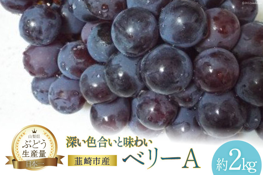
                  【2025年発送】 ぶどう ベリーA 約 2kg 山梨 やまなし ぶどう ブドウ 葡萄 マスカット ワインぶどう 果物 フルーツ 2キロ 山梨県産 産地直送 期間限定 季節限定 冷蔵 [フルーツランド平賀 山梨県 韮崎市 20742838]
                
